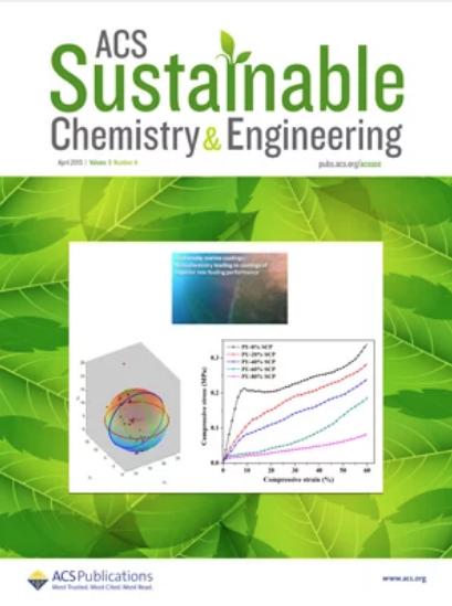 ACS Sustainable Chemistry & Engineering - Cover
                of issue 3, volume 3, 2015, dedicated to Mario
                Pagliaro's Lab work