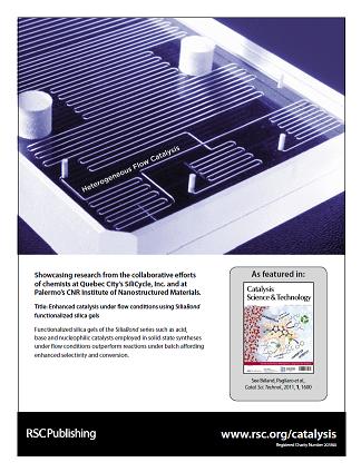 Cover of Catalysis
                Science & Technology, issue 6, volumne 2, 2011,
                dedicated to Mario Pagliaro's Lab work