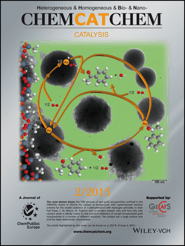 ChemCatChem -
                  Cover of issue 2, volume 7, 2015, dedicated to Mario
                  Pagliaro's Lab work