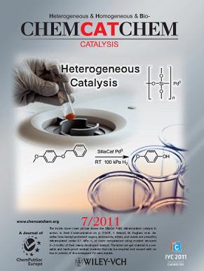Cover of ChemCatChem, issue 7, volume 3, 2011
                dedicated to Mario Pagliaro's Lab work