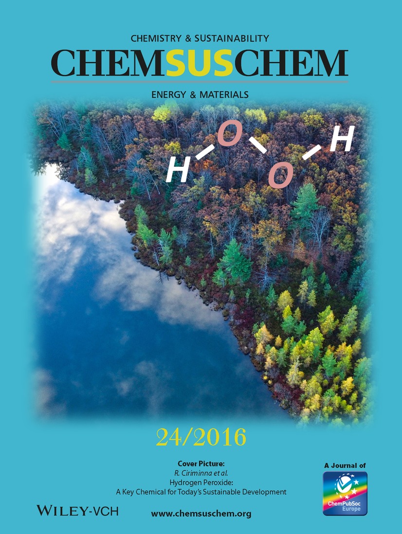 ChemSusChem - Cover
                of issue 24, volume 9, 2016, dedicated to Mario
                Pagiaro's Lab work