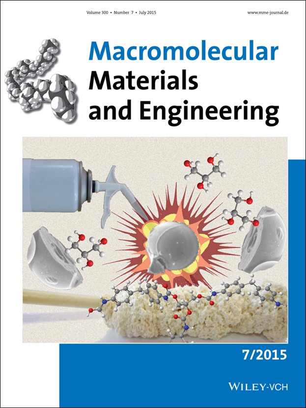Macromolecular
                Materials and Engineering - Cover of issue 7, volume
                300, 2015, dedicated to Mario Pagliaro's Lab work