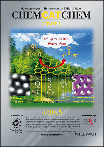 ChemCatChem - Cover
                of issue 4, volume 7, 2015, dedicated to Mario
                Pagliaro's Lab work