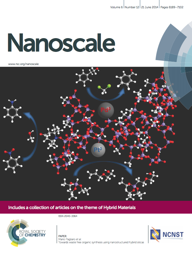 Nanoscale - Cover of
                issue 12, volume 6, 2014, dedicated to Mario Pagliaro's
                Lab work