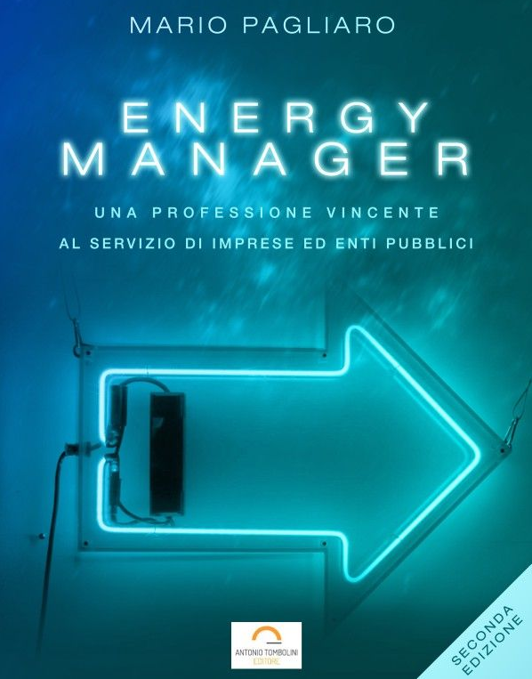Copertina di Energy manager: Una professione vincente (2a edizione)