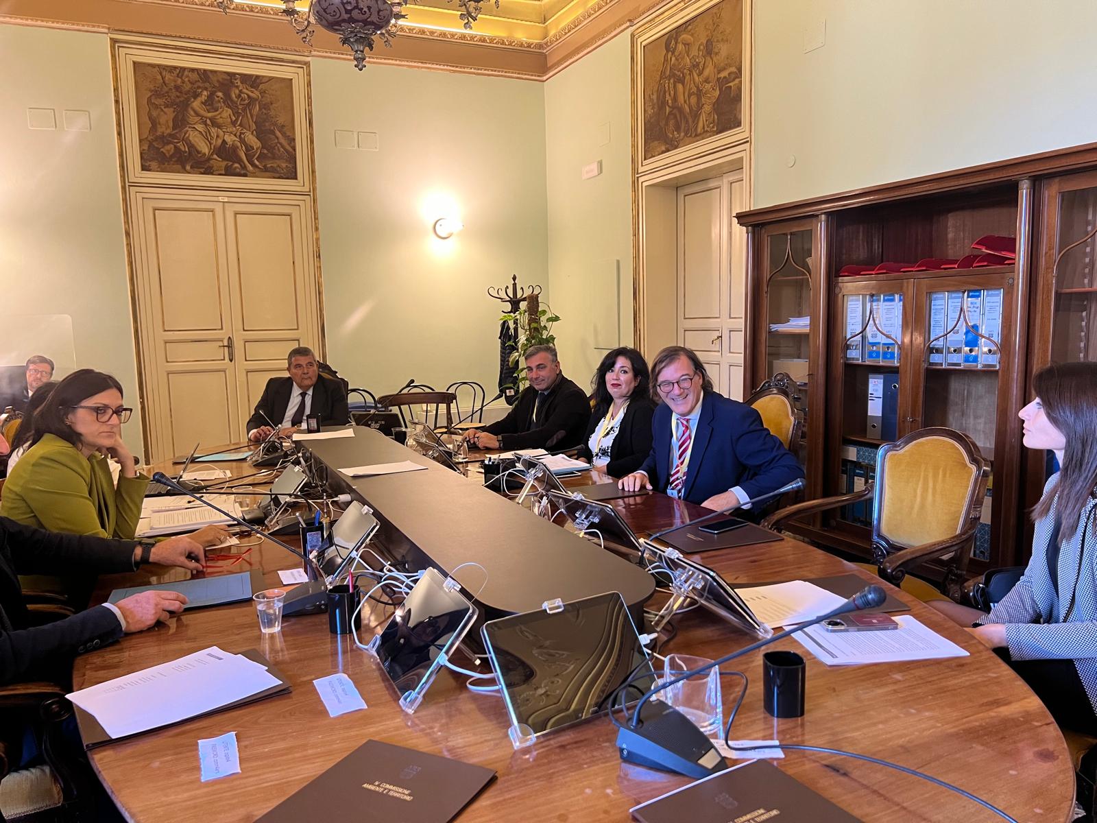 Mario Pagliaro audito in Ars dalla IV Commissione legislativa il 13 Novembre 2024